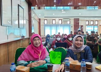 Ibu Drs. Hj. Syamsuyurnita, M.Pd. dan Para Dosen FKIP UMSU Mengikuti International Conference di Sorong